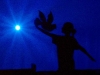 bluedove-copy